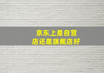 京东上是自营店还是旗舰店好