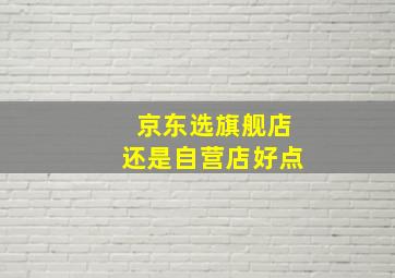 京东选旗舰店还是自营店好点