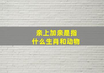 亲上加亲是指什么生肖和动物