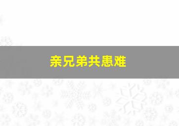 亲兄弟共患难