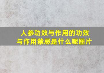 人参功效与作用的功效与作用禁忌是什么呢图片