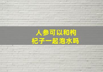 人参可以和枸杞子一起泡水吗