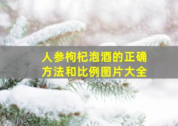 人参枸杞泡酒的正确方法和比例图片大全