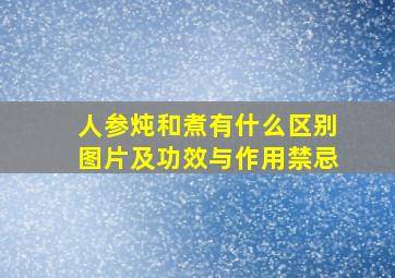 人参炖和煮有什么区别图片及功效与作用禁忌