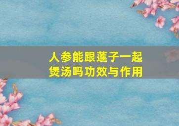 人参能跟莲子一起煲汤吗功效与作用