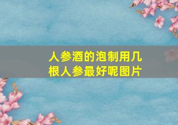 人参酒的泡制用几根人参最好呢图片