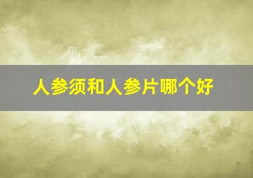 人参须和人参片哪个好