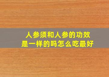 人参须和人参的功效是一样的吗怎么吃最好