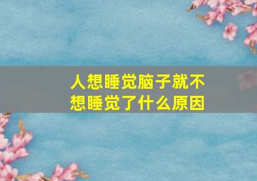 人想睡觉脑子就不想睡觉了什么原因