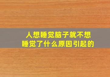 人想睡觉脑子就不想睡觉了什么原因引起的