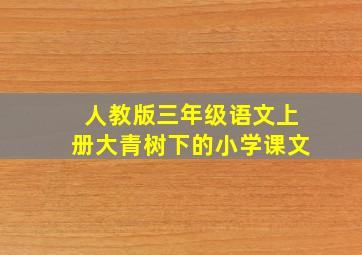 人教版三年级语文上册大青树下的小学课文