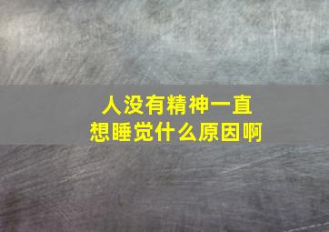 人没有精神一直想睡觉什么原因啊