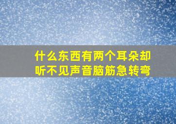 什么东西有两个耳朵却听不见声音脑筋急转弯