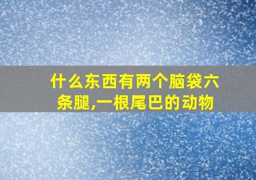 什么东西有两个脑袋六条腿,一根尾巴的动物