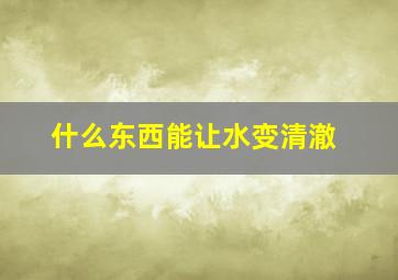 什么东西能让水变清澈