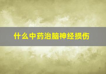 什么中药治脑神经损伤