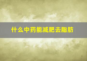 什么中药能减肥去脂肪