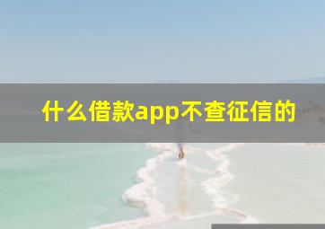 什么借款app不查征信的