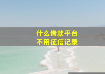 什么借款平台不用征信记录