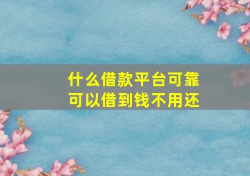 什么借款平台可靠可以借到钱不用还