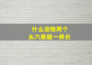 什么动物两个头六条腿一样长