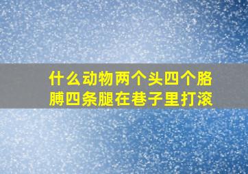 什么动物两个头四个胳膊四条腿在巷子里打滚