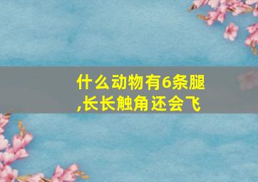 什么动物有6条腿,长长触角还会飞