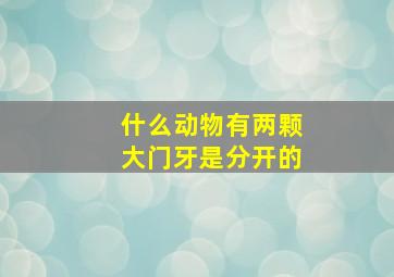 什么动物有两颗大门牙是分开的