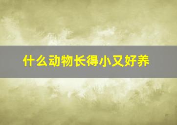 什么动物长得小又好养