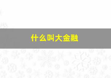 什么叫大金融