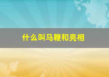 什么叫马鞭和亮相