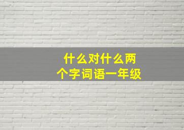 什么对什么两个字词语一年级