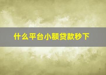 什么平台小额贷款秒下