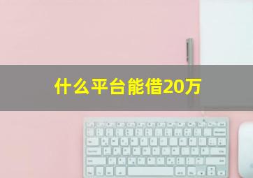 什么平台能借20万