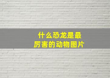 什么恐龙是最厉害的动物图片