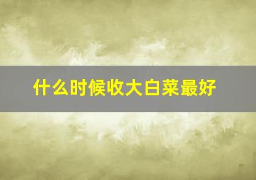 什么时候收大白菜最好