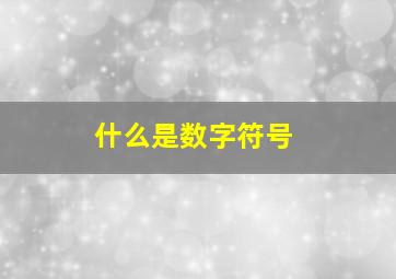 什么是数字符号