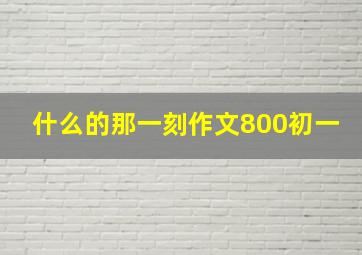 什么的那一刻作文800初一