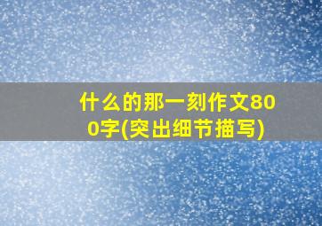 什么的那一刻作文800字(突出细节描写)