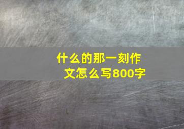 什么的那一刻作文怎么写800字