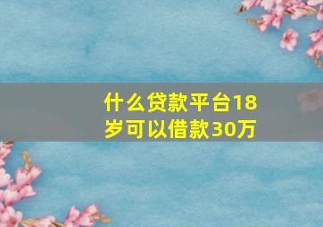 什么贷款平台18岁可以借款30万