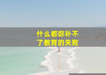 什么都弥补不了教育的失败