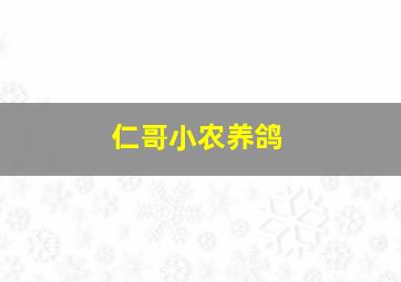 仁哥小农养鸽