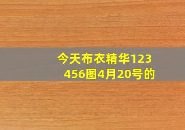 今天布衣精华123456图4月20号的