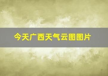 今天广西天气云图图片