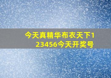 今天真精华布衣天下123456今天开奖号