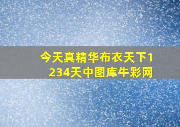 今天真精华布衣天下1234天中图库牛彩网