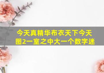 今天真精华布衣天下今天图2一室之中大一个数字迷