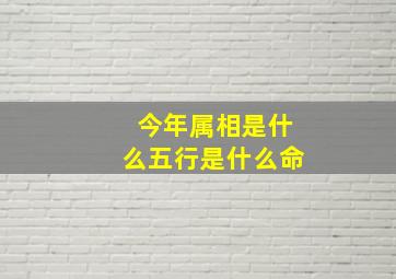 今年属相是什么五行是什么命