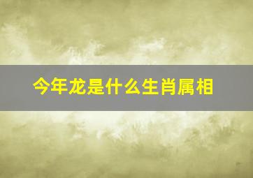 今年龙是什么生肖属相